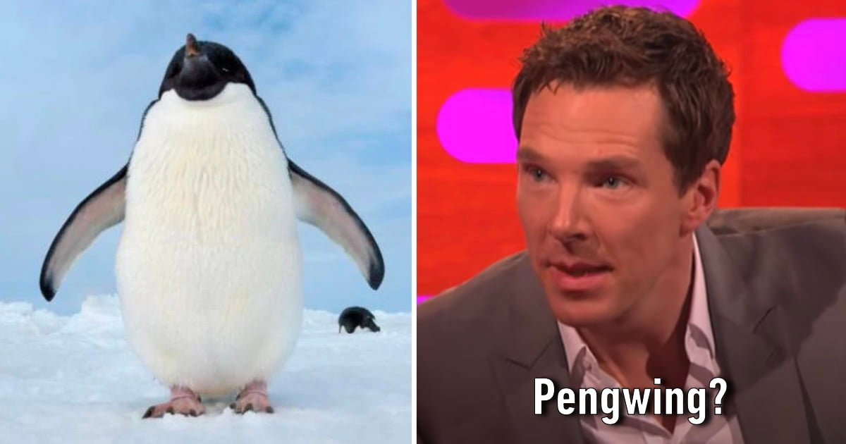 Benedict Cumberbatch Penguin