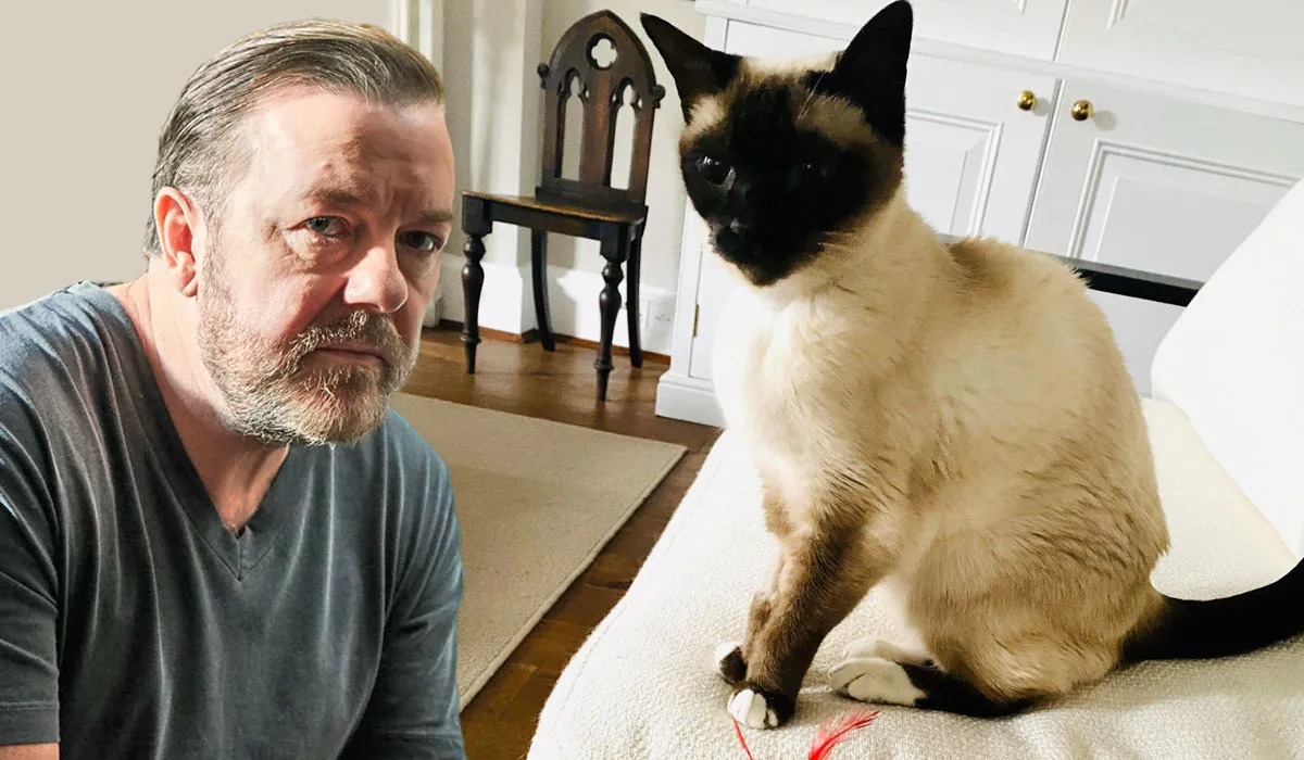 Ricky Gervais Cats